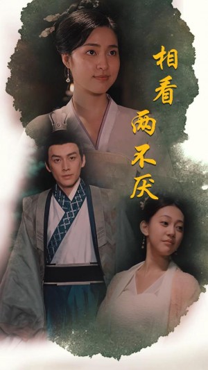 《相看两不厌(这个王妃不好惹)》(85集)