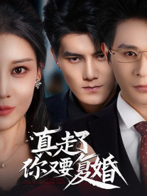 真走了你又要复婚（60集）
