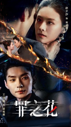 罪之花（56集）