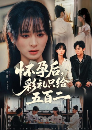 怀孕后彩礼只给五百二（40集）