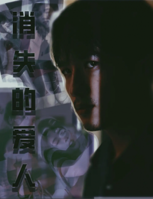 消失的爱人（96集）