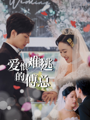 爱恨难逃的傅总（82集）