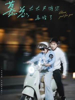 慕总太太又催您离婚了（80集）