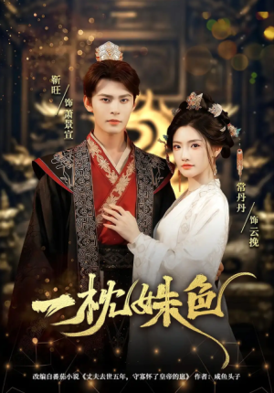 一枕姝色（62集）