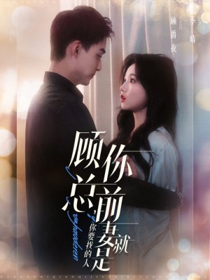 顾总你前妻就是你要找的人（100集）