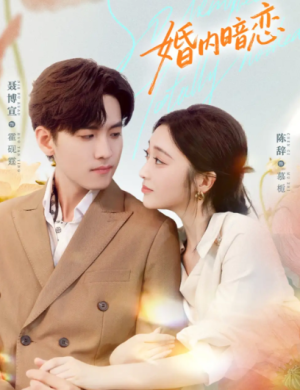 婚内暗恋（80集）