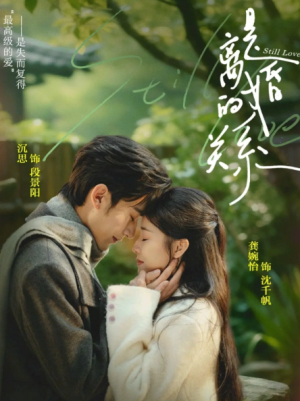 是离婚的关系（67集）