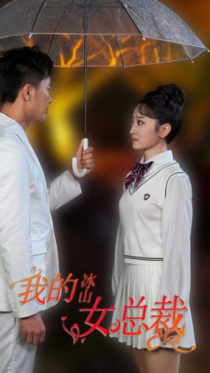 《新版:我的冰山女总裁》(78集)