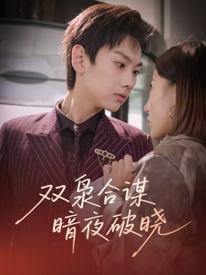 双枭合谋暗夜破晓（30集）