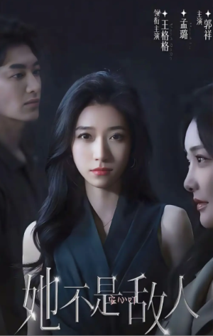 她不是敌人（18集全）