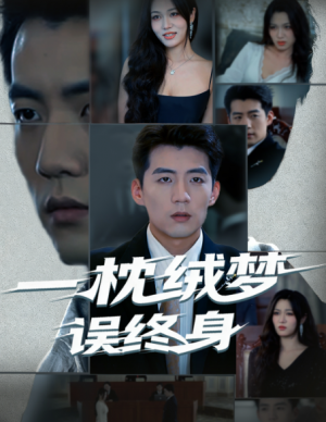 一枕绒梦误终身（60集）