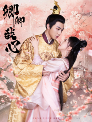 卿卿我心（100集）