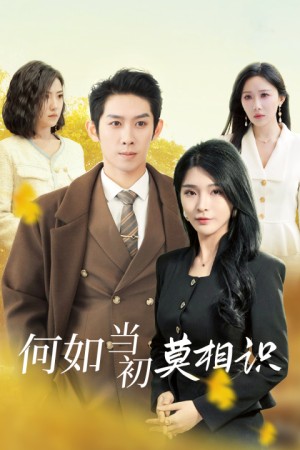 何如当初莫相识（36集）
