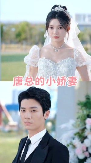 唐总的小娇妻（89集）