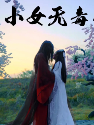 小女无毒（14集）