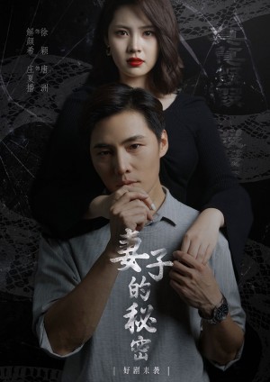 妻子不能说的秘密(妻子的秘密)(30集)