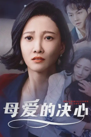 母爱的决心（尘世暖阳）（40集）
