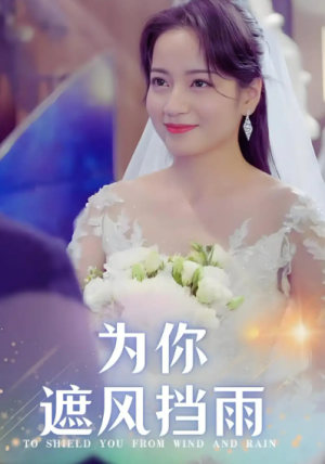 为你遮风挡雨（100集）