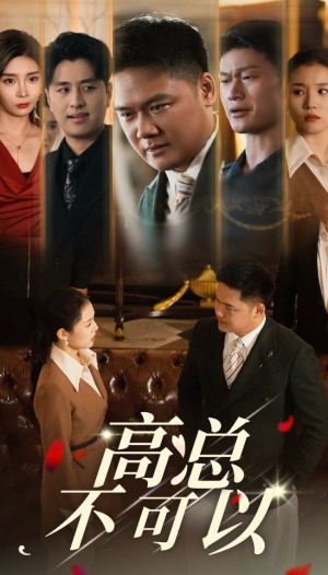 高总不可以（45集）