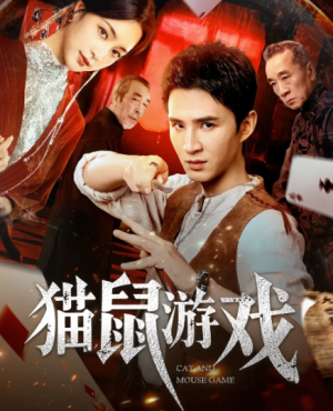 猫鼠游戏（67集）