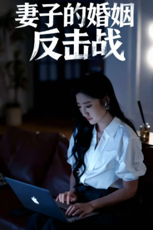妻子的婚姻反击战（46集）