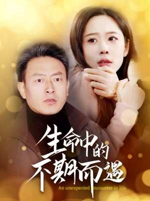 生命中的不期而遇（35集）