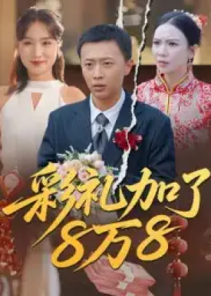 彩礼加了8万8（54集）