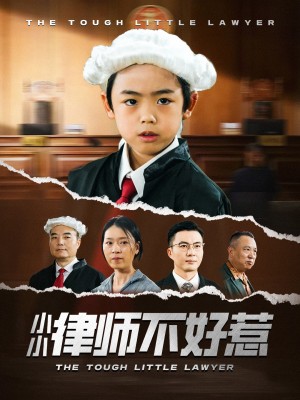 小小律师不好惹（82集）