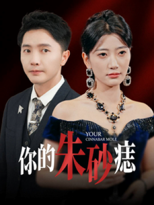 你的朱砂痣（77集）