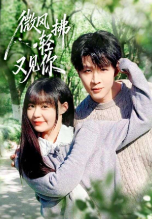 微风轻拂又见你（66集）