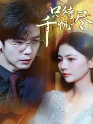 只待千帆尽（40集）