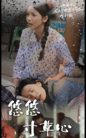 新版:悠悠寸草心(76集)