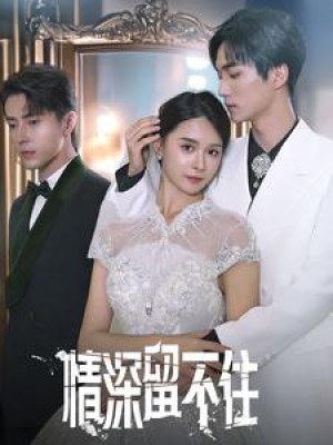 情深留不住（80集）