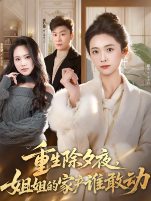 重生除夕夜姐姐的家产谁敢动（60集）