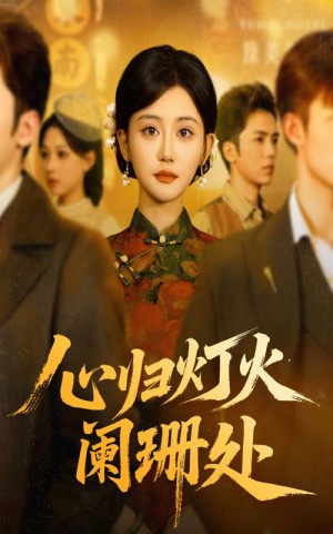 心归灯火阑珊处（71集）