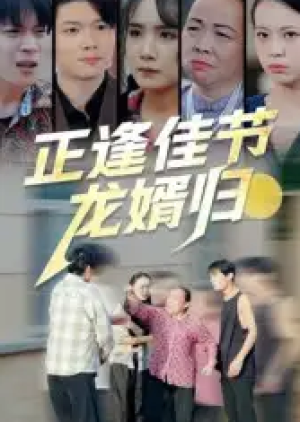 正逢佳节龙婿归（42集）