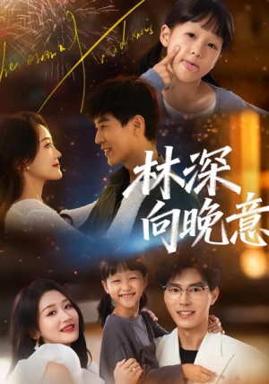 林深向晚意（70集）