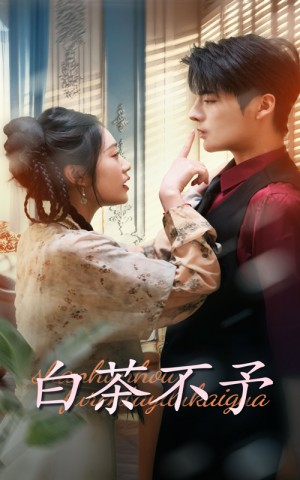 白茶不予（68集）