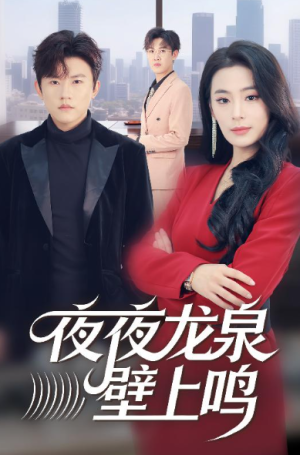 夜夜龙泉壁上鸣（63集）
