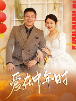 爱在中年时（40集）