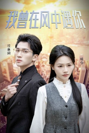 我曾在风中遇你（30集）