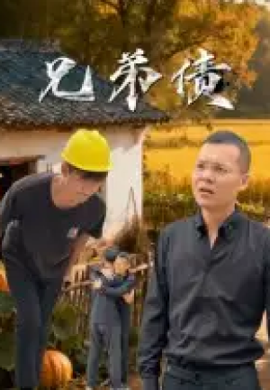 兄弟债（18集）