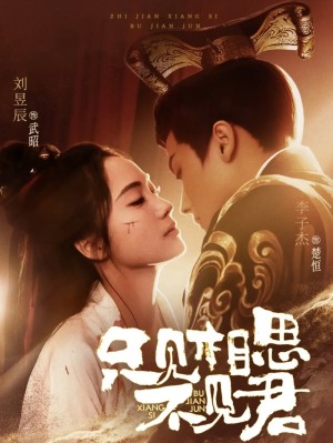 只见相思不见君（82集）