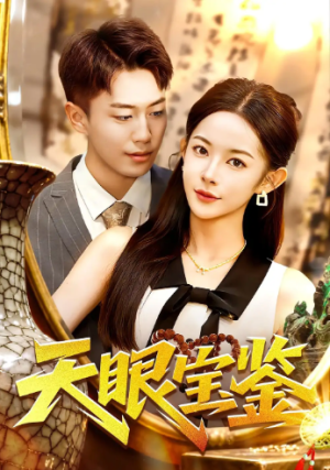 天眼宝鉴（108集）