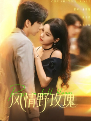 风情野玫瑰＆揉碎玫瑰（70集）