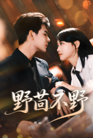 野茴不野（67集）