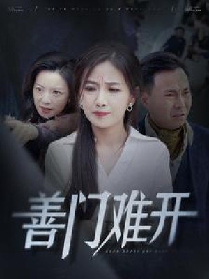 女士请挪车（善门难开）（29集）