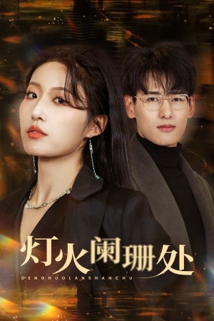 灯火阑珊处（34集）