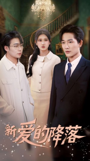 新爱的降落（48集）