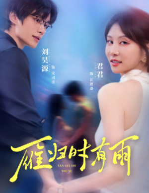 雁归时有雨（84集）